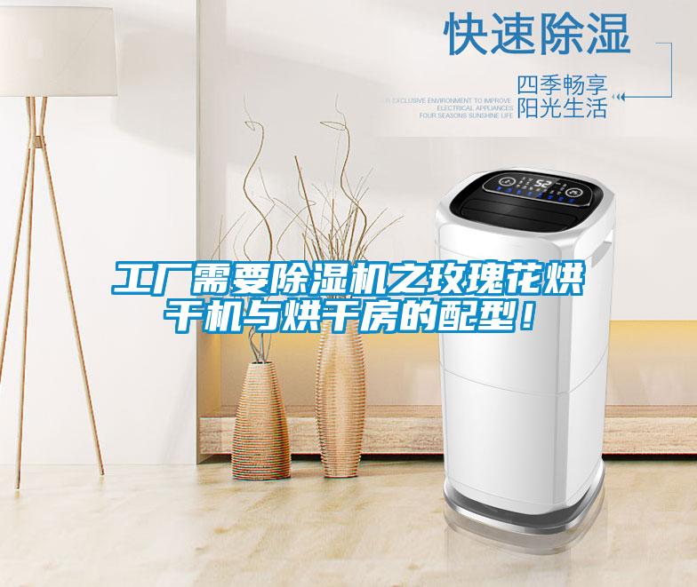 工廠需要除濕機(jī)之玫瑰花烘干機(jī)與烘干房的配型！