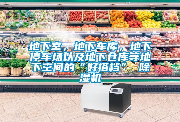 地下室，地下車庫，地下停車場以及地下倉庫等地下空間的“好搭檔” 除濕機(jī)