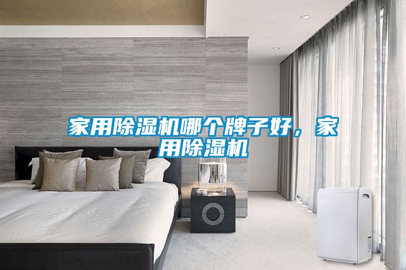家用除濕機(jī)哪個(gè)牌子好，家用除濕機(jī)