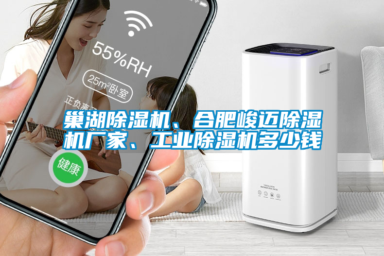巢湖除濕機、合肥峻邁除濕機廠家、工業(yè)除濕機多少錢