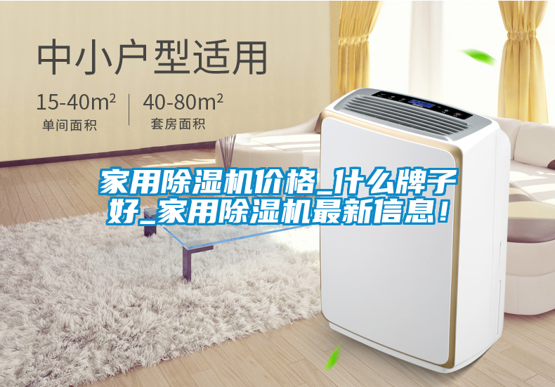 家用除濕機(jī)價(jià)格_什么牌子好_家用除濕機(jī)最新信息！