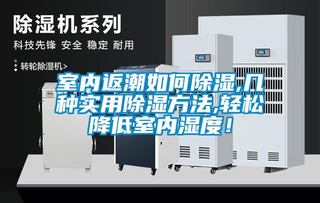 室內(nèi)返潮如何除濕,幾種實(shí)用除濕方法,輕松降低室內(nèi)濕度！