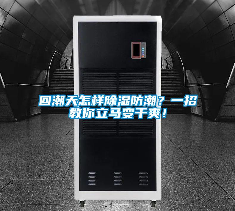 回潮天怎樣除濕防潮？一招教你立馬變干爽！