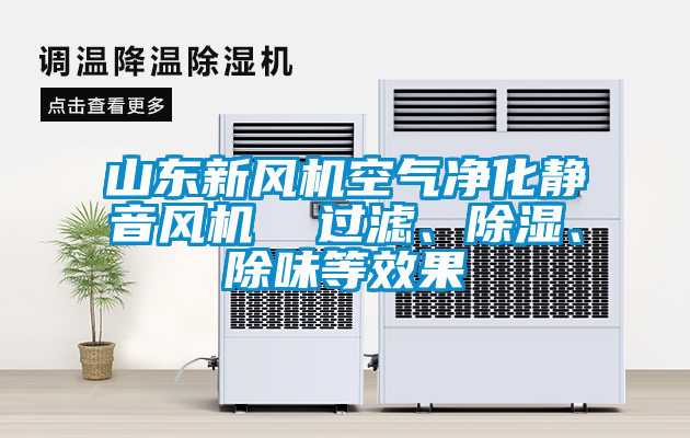 山東新風機空氣凈化靜音風機  過濾、除濕、除味等效果