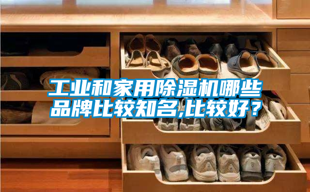 工業(yè)和家用除濕機哪些品牌比較知名,比較好？