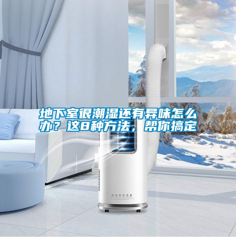 地下室很潮濕還有異味怎么辦？這8種方法，幫你搞定