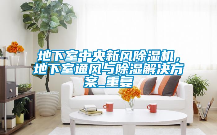 地下室中央新風(fēng)除濕機(jī)，地下室通風(fēng)與除濕解決方案_重復(fù)