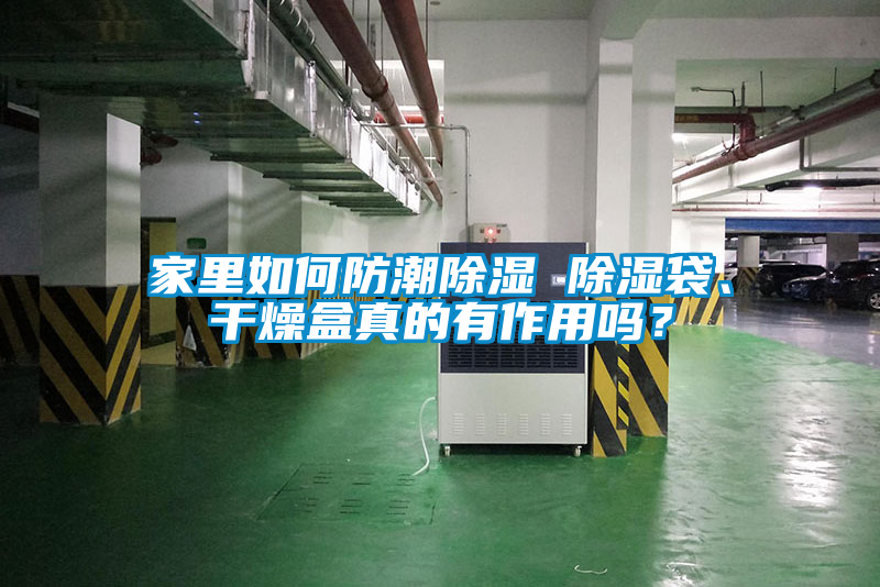 家里如何防潮除濕 除濕袋、干燥盒真的有作用嗎？