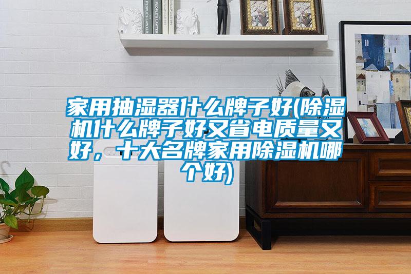 家用抽濕器什么牌子好(除濕機什么牌子好又省電質(zhì)量又好，十大名牌家用除濕機哪個好)