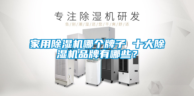 家用除濕機(jī)哪個牌子 十大除濕機(jī)品牌有哪些？