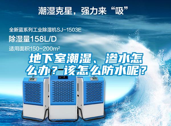 地下室潮濕、滲水怎么辦？該怎么防水呢？