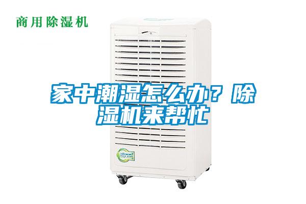 家中潮濕怎么辦？除濕機(jī)來(lái)幫忙