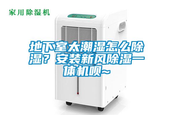 地下室太潮濕怎么除濕？安裝新風除濕一體機唄~