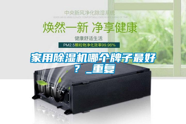 家用除濕機(jī)哪個(gè)牌子最好？_重復(fù)