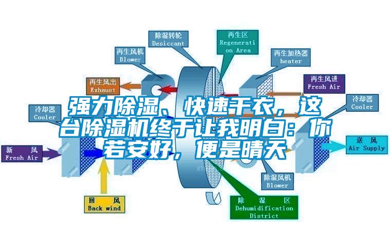 強力除濕、快速干衣，這臺除濕機終于讓我明白：你若安好，便是晴天