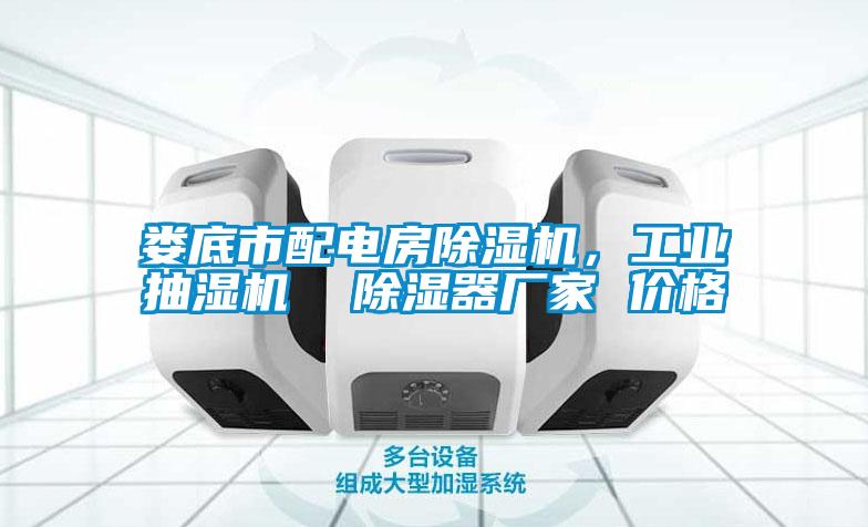 婁底市配電房除濕機，工業(yè)抽濕機  除濕器廠家 價格