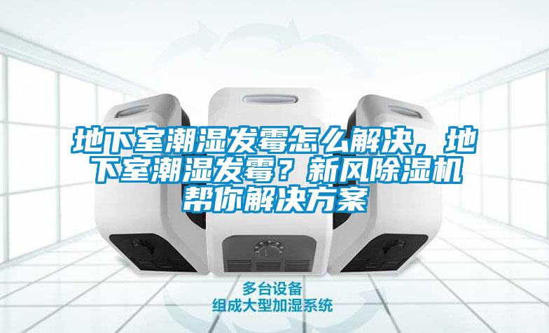 地下室潮濕發(fā)霉怎么解決，地下室潮濕發(fā)霉？新風(fēng)除濕機幫你解決方案