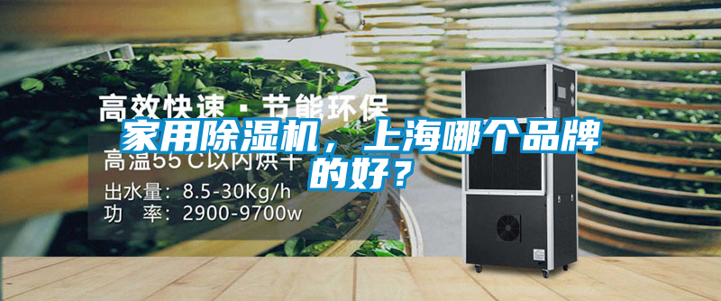 家用除濕機(jī)，上海哪個(gè)品牌的好？