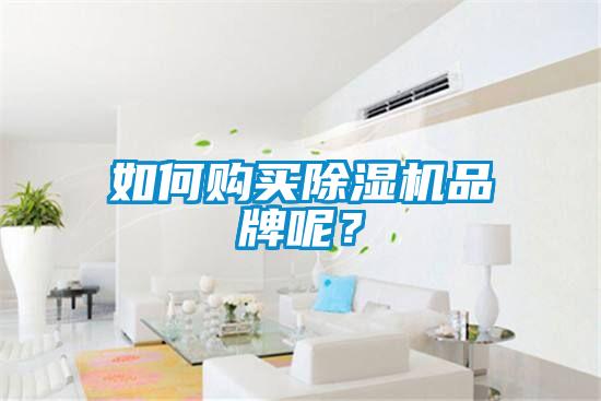 如何購買除濕機(jī)品牌呢？