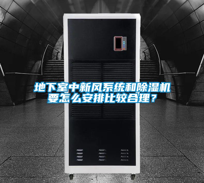 地下室中新風(fēng)系統(tǒng)和除濕機(jī)要怎么安排比較合理？