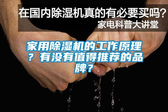 家用除濕機的工作原理？有沒有值得推薦的品牌？