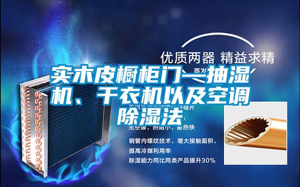 實木皮櫥柜門—抽濕機、干衣機以及空調(diào)除濕法
