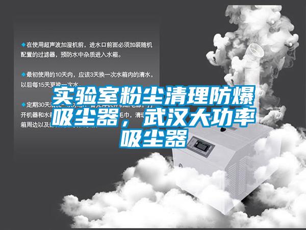 實驗室粉塵清理防爆吸塵器，武漢大功率吸塵器