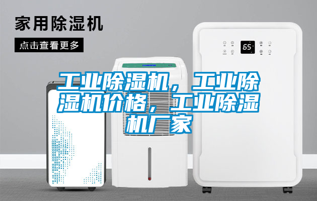 工業(yè)除濕機(jī)，工業(yè)除濕機(jī)價(jià)格，工業(yè)除濕機(jī)廠家