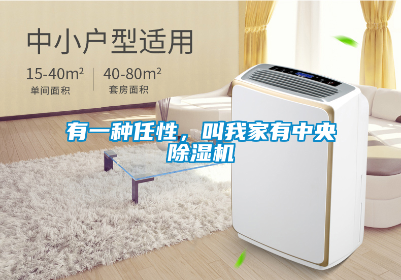 有一種任性，叫我家有中央除濕機(jī)