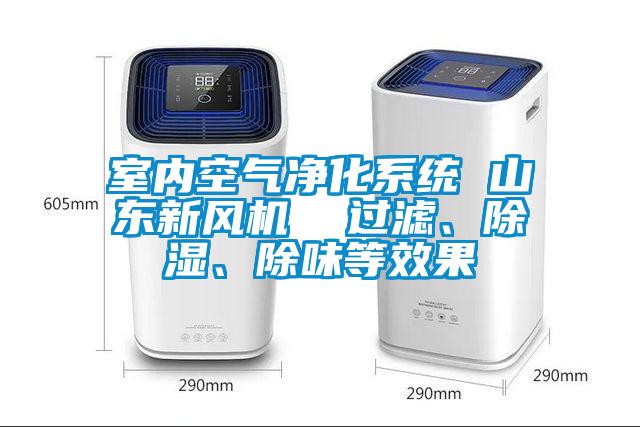 室內(nèi)空氣凈化系統(tǒng) 山東新風(fēng)機(jī)  過(guò)濾、除濕、除味等效果
