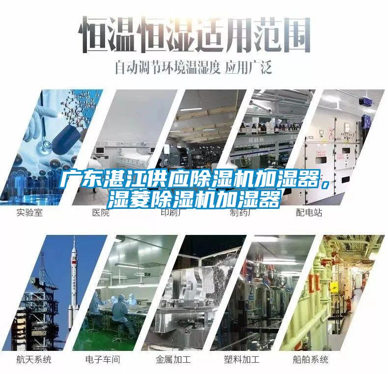 廣東湛江供應(yīng)除濕機加濕器，濕菱除濕機加濕器
