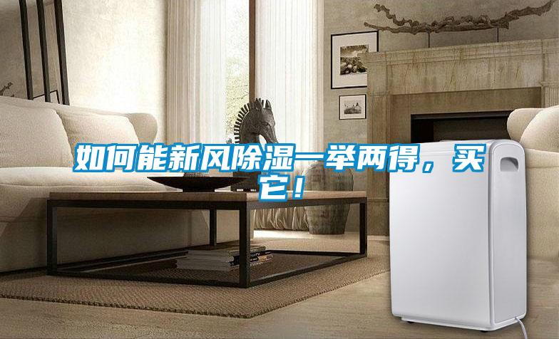 如何能新風除濕一舉兩得，買它！