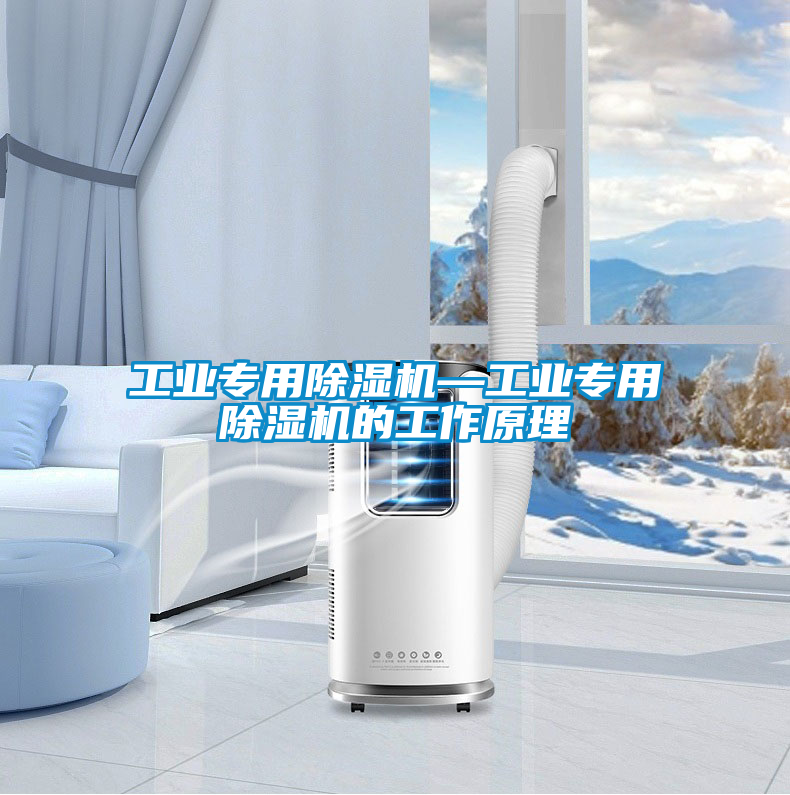 工業(yè)專(zhuān)用除濕機(jī)—工業(yè)專(zhuān)用除濕機(jī)的工作原理
