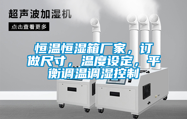 恒溫恒濕箱廠家，訂做尺寸，溫度設(shè)定，平衡調(diào)溫調(diào)濕控制