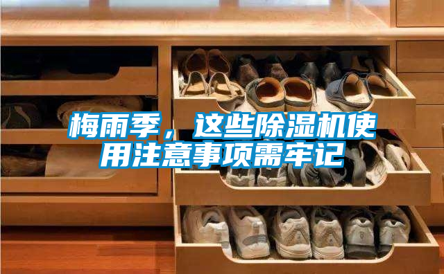 梅雨季，這些除濕機使用注意事項需牢記