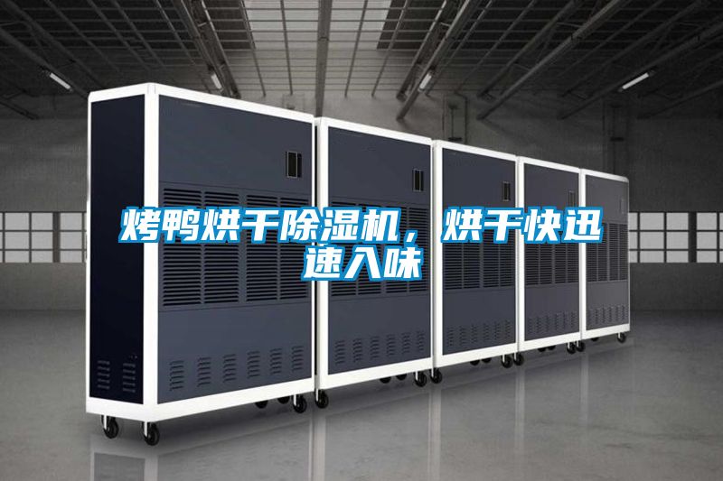 烤鴨烘干除濕機(jī),烘干快迅速入味