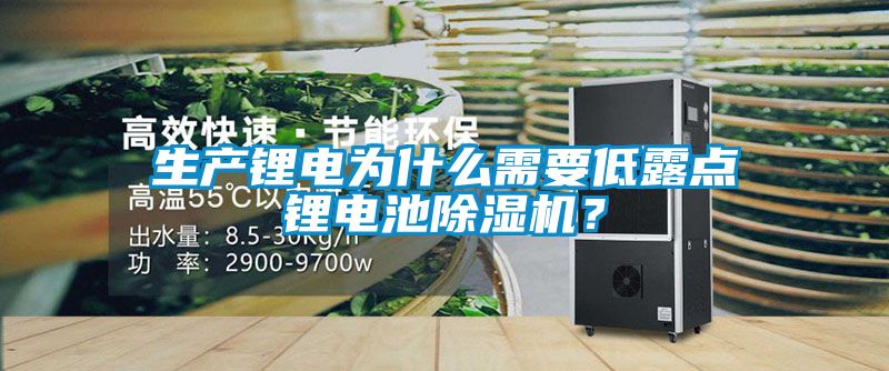 生產(chǎn)鋰電為什么需要低露點(diǎn)鋰電池除濕機(jī)？