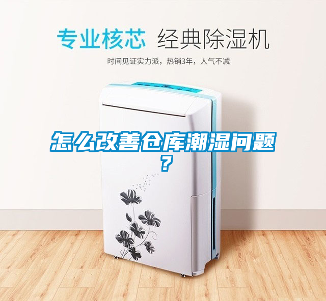 怎么改善倉庫潮濕問題？