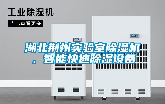 湖北荊州實(shí)驗(yàn)室除濕機(jī)，智能快速除濕設(shè)備