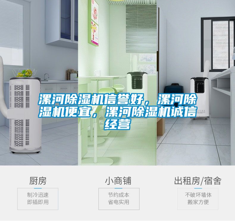 漯河除濕機(jī)信譽(yù)好，漯河除濕機(jī)便宜，漯河除濕機(jī)誠(chéng)信經(jīng)營(yíng)