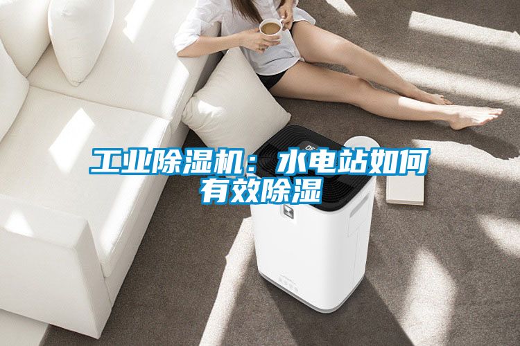 工業(yè)除濕機:水電站如何有效除濕