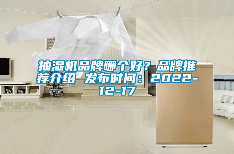 抽濕機(jī)品牌哪個(gè)好？品牌推薦介紹 發(fā)布時(shí)間：2022-12-17