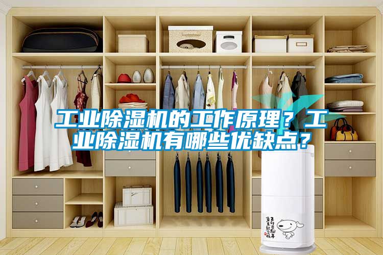 工業(yè)除濕機(jī)的工作原理？工業(yè)除濕機(jī)有哪些優(yōu)缺點(diǎn)？