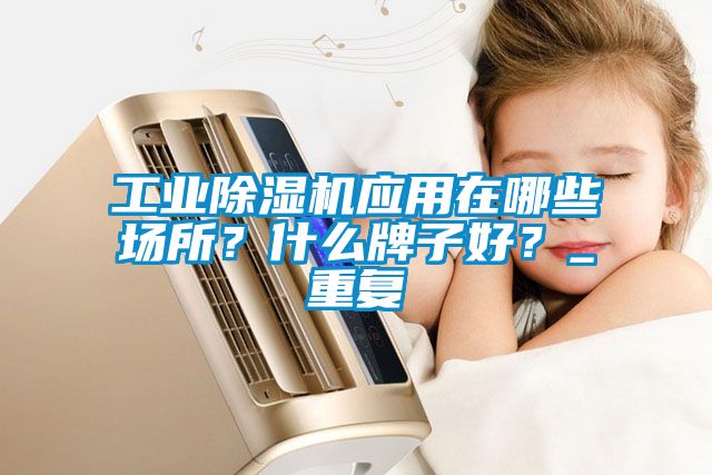 工業(yè)除濕機(jī)應(yīng)用在哪些場所？什么牌子好？_重復(fù)