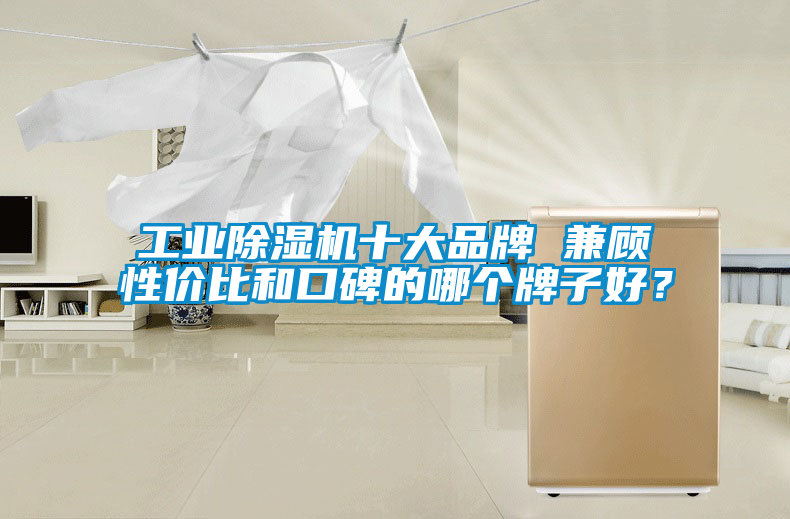 工業(yè)除濕機十大品牌 兼顧性價比和口碑的哪個牌子好？
