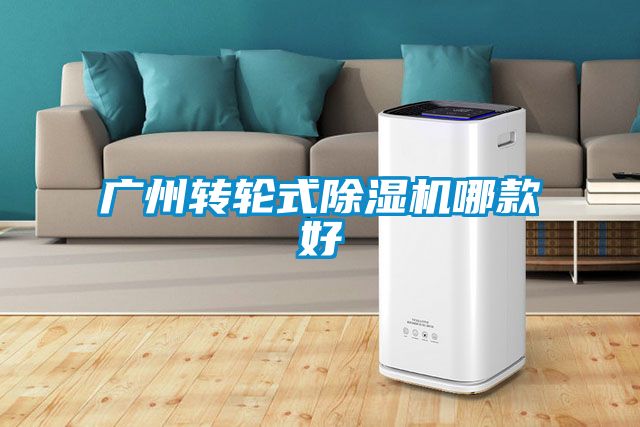 廣州轉(zhuǎn)輪式除濕機哪款好
