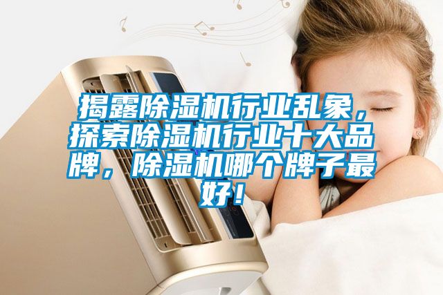 揭露除濕機(jī)行業(yè)亂象，探索除濕機(jī)行業(yè)十大品牌，除濕機(jī)哪個(gè)牌子最好！