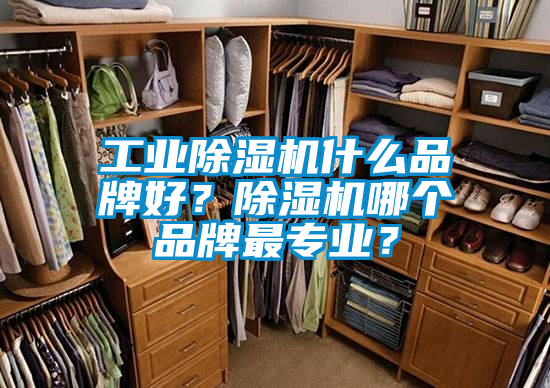 工業(yè)除濕機(jī)什么品牌好？除濕機(jī)哪個(gè)品牌最專業(yè)？
