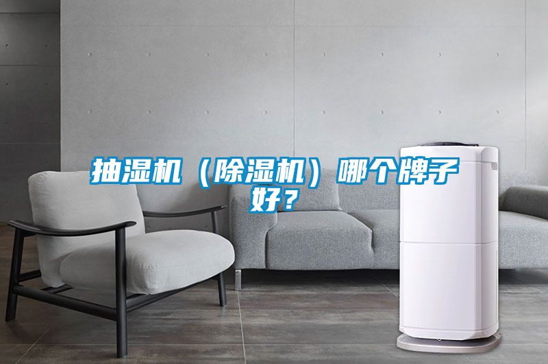 抽濕機(jī)（除濕機(jī)）哪個(gè)牌子好？