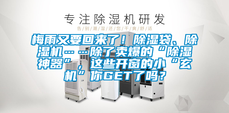 梅雨又要回來了！除濕袋、除濕機……除了賣爆的“除濕神器”，這些開窗的小“玄機”你GET了嗎？